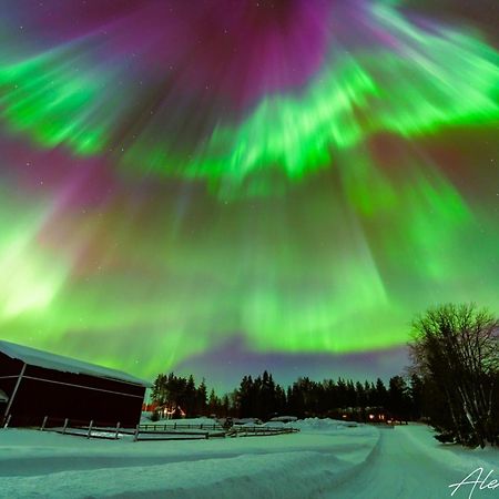 Kangosjarvi Harjuniemiヴィラ エクステリア 写真