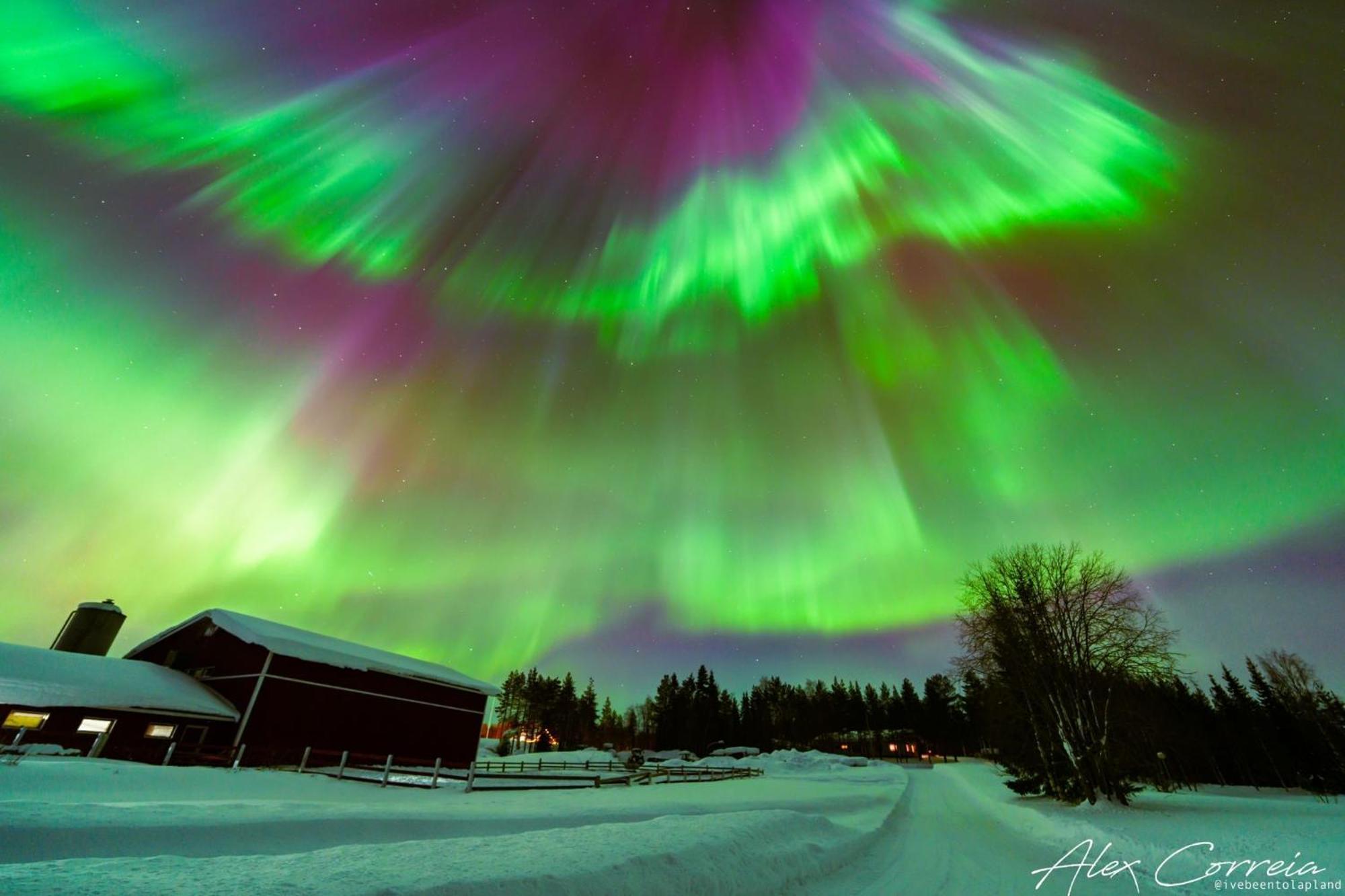 Kangosjarvi Harjuniemiヴィラ エクステリア 写真
